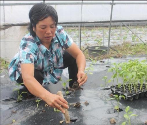 开元体育·(中国)官方网站温室大棚全自动化无人生产模式它该有的设计(图3)