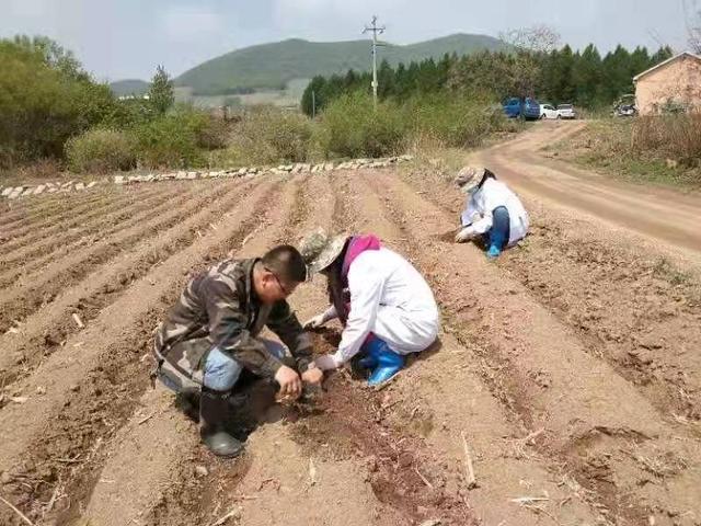 开元体育·(中国)官方网站吉林市农业农村局：种植经验编成顺口溜指导农民科学种田(图1)