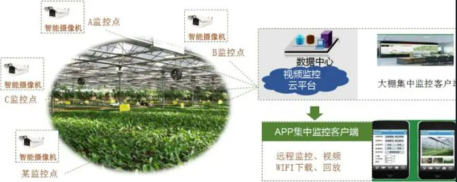 开元体育农业智能大棚环境监控系统解决方法(图2)