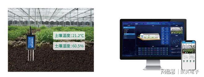 开元体育农业物联网：智能温室大棚与传统大棚对比智能控制(图3)
