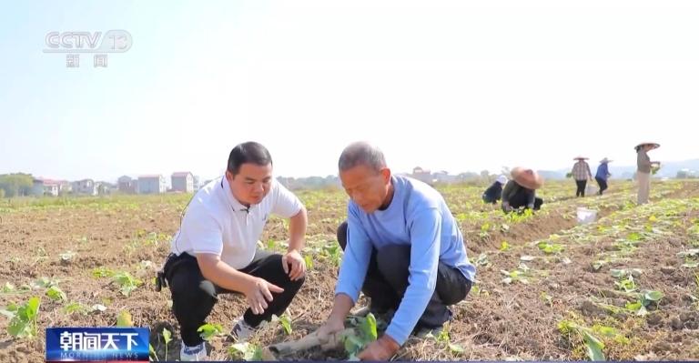 开元体育·(中国)官方网站农业农村部：秋收已过八成半 秋种有序推进(图5)