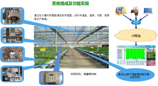 开元体育·(中国)官方网站“双创”成果：物联网温室智能控制系统(图1)