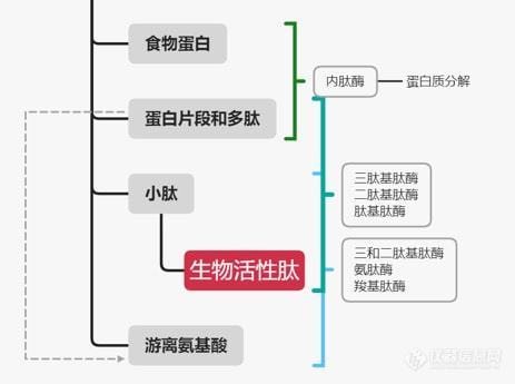 开元体育前沿！2023年这些食品科学与工程领域研究热点前沿值得关注！(图4)