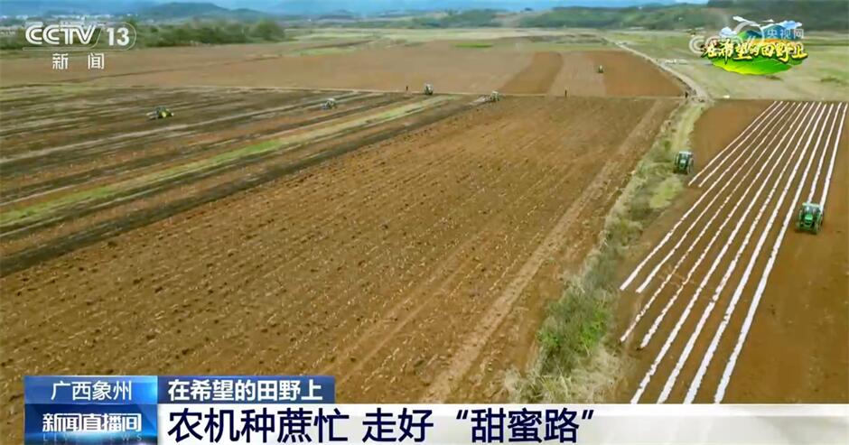 开元体育智慧“春雨”润大地、“花果经济”显生机 希望的田野涌动澎湃活力(图4)