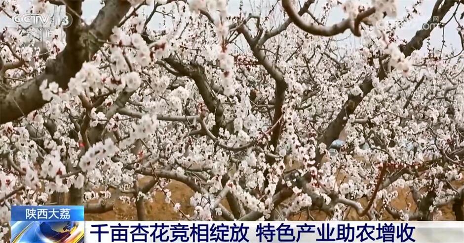 开元体育智慧“春雨”润大地、“花果经济”显生机 希望的田野涌动澎湃活力(图5)