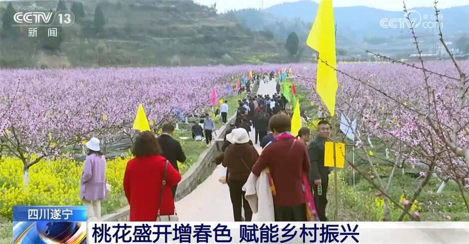 开元体育智慧“春雨”润大地、“花果经济”显生机 希望的田野涌动澎湃活力(图6)