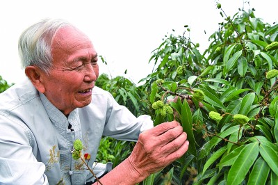 开元体育论文写在田野 成果留给农户(图4)