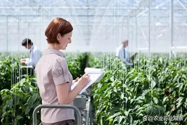 开元体育「农业行业观察」政策支持!AI+农业：助推中国农业迈入深水区(图1)