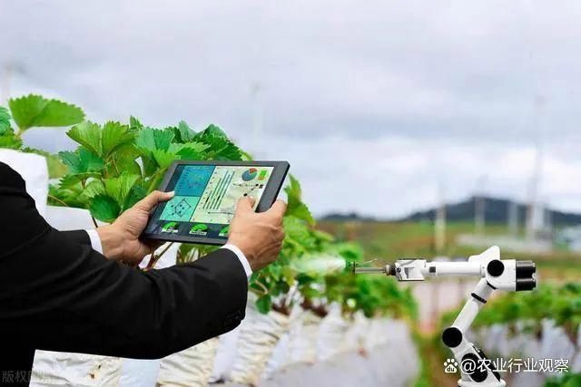 开元体育「农业行业观察」政策支持!AI+农业：助推中国农业迈入深水区(图4)