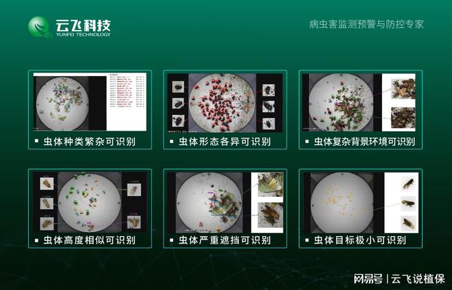 开元体育物联网自动虫情信息系统：科技创新引领虫情监测新趋势(图3)