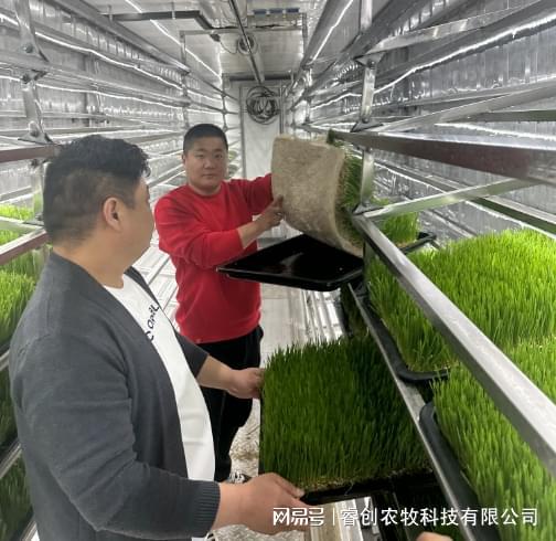 开元体育·(中国)官方网站水培牧草设备：畜牧业的“鲜”锋科技未来已来！(图1)