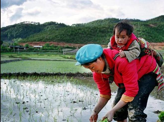 开元体育我国小农经济还能留吗？现代化农业落后发达国家太多如何追赶？(图19)