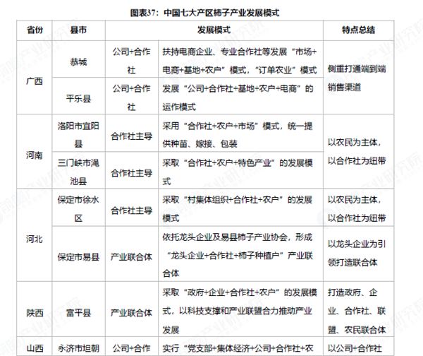 开元体育前瞻发布 《2024中国柿子产业发展(图5)