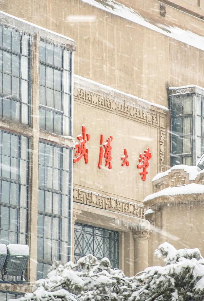 开元体育·(中国)官方网站17个专业排名世界第一！清华、武大、上交大上榜鼓舞人心(图8)